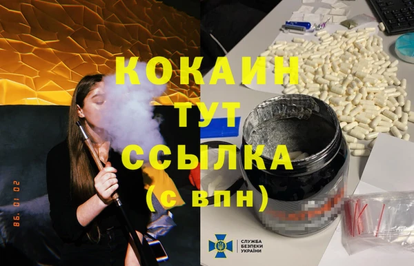 тгк Пересвет