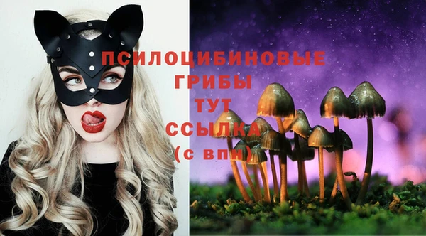 мяу мяу кристалл Переславль-Залесский