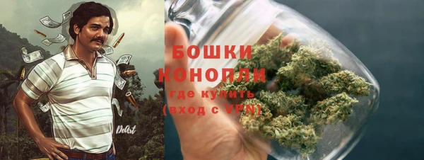 тгк Пересвет
