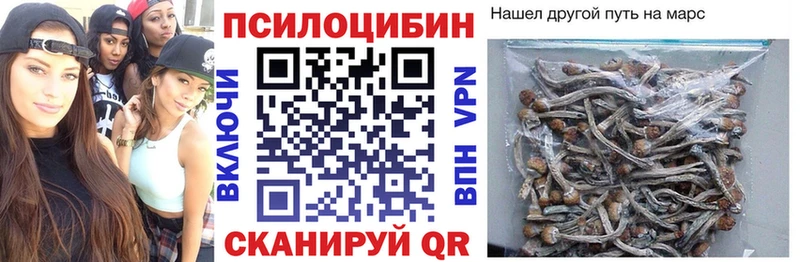 купить наркотики цена  Бокситогорск  Галлюциногенные грибы ЛСД 